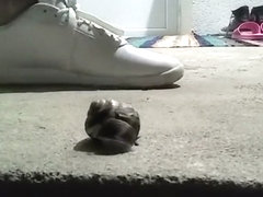 Snail crushed under sneakers