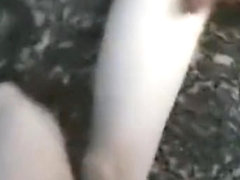 Ex girlfriend sucking cock while i join in to