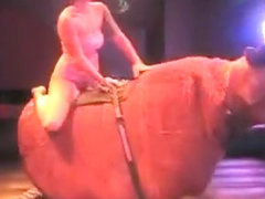 Bull ride reveals the chick's arousing ass