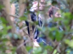 University students caught copulating in the bushes