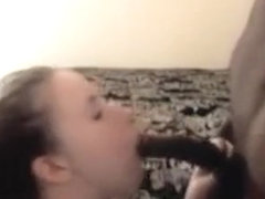 Interracial Combo Blowjob Handjob