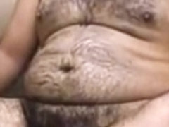 Bear void urine two & cum