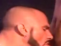 Cock In The Rear Pocket