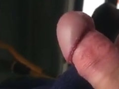 Public Bus Flash to ebony