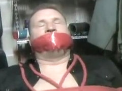 Dylan- Playtoy