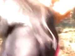 Blonde Girl Gets Fucked From Behind In Character