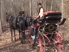 Daisie goes for a carriage ride and blows him before he pumps her
