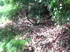 Mi sbiotto e non ciulo ma sborro a dirotto e ti mostro il culo! (Integrale)