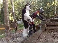 Husky Humps A Biker