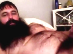 big beared bear bam 4342342