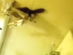 Nalgona y puta cogiendo