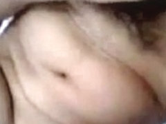 perrita se graba para el novio