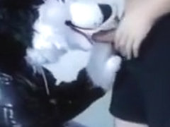 Spunking a Fresh Muzzle