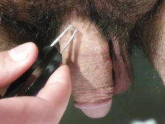 Painful Hair Plucking My Pubes