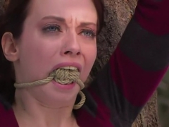 Exiled From Dick Mountain, pt 5... The finale