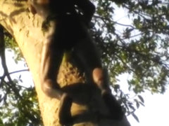 Indian tarzan boy sex in jungle wood