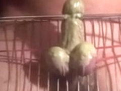 CBT cock and ball torture 3
