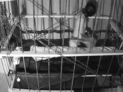 The Cage Cam May 7 2018 0722 a new day in the life of slave andrew