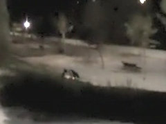 Teens caught fucking at night in a park