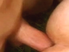 Sugarboys In The Garden