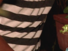 Eurocreme: Leo Marco Solo