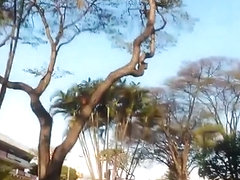 delicia de shortinho