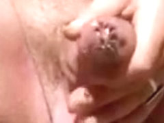 La mouche noire la bite