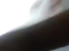 Bez nazvanija non-professional