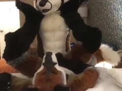 Two Gay Furries Fucking 3