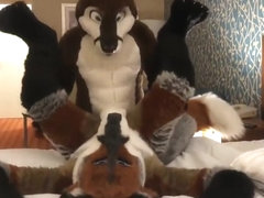 Two Gay Furries Fucking 3