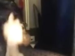 Black tranny in action