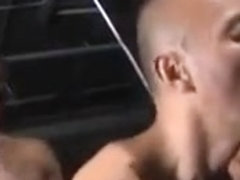 The Breeding Of Jayboy 2