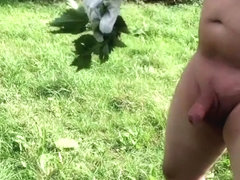 Stinging Nettle 2018