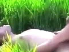 Splendor in the grass