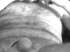 Bull Nuts