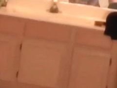 Sucking The Amateur Cock