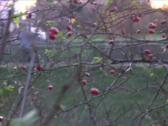 Exotic pornstar in Horny Blowjob, College sex movie