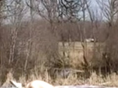 Trampoline Sex...F70