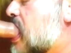 Husky Uncut Bearmeat