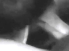 Housewife's Dirty Adventures