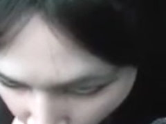 Street girl doesn't really seem to mind sucking my dick in public