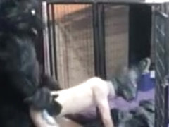 A sexually excited Minotaur second sesion of breeding