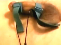 William Tell Overture