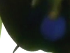 Ebon pumps twat and dildos the one and the other holes