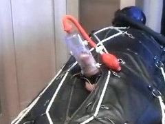 When Guyrubb and Rubbvince visit their Slaver.