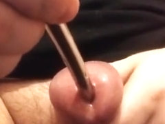 Large cock, large sounds.