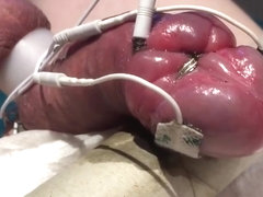 Subject C's beautiful pumped cock milked with estim