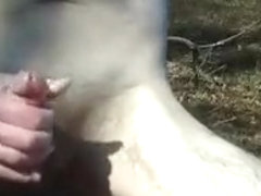 Public Park Jack Off by the Lake