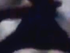 Bronha Com Pau Guspido