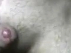 pretty blue eyed cub